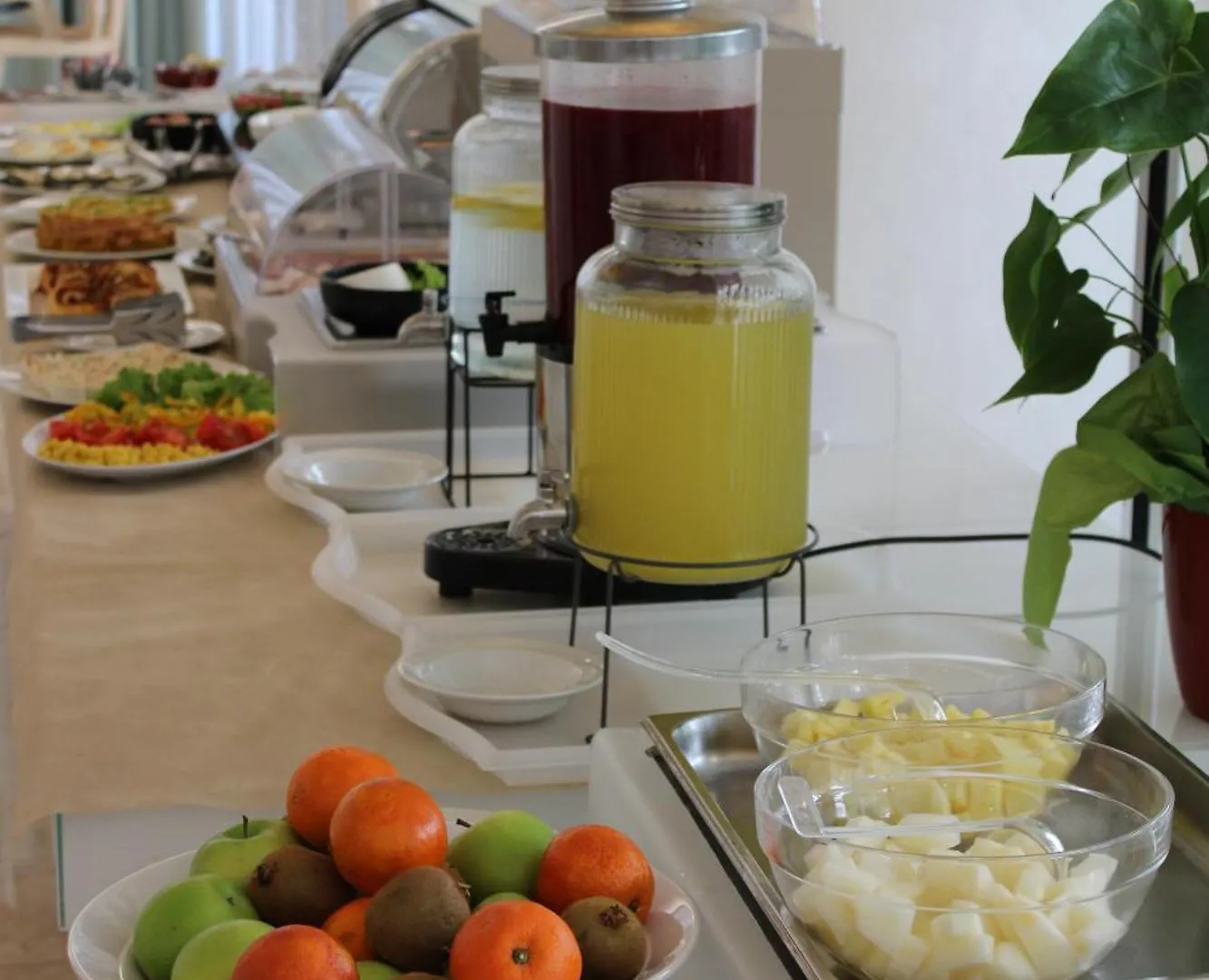 רימיני Hotel Royal Plaza